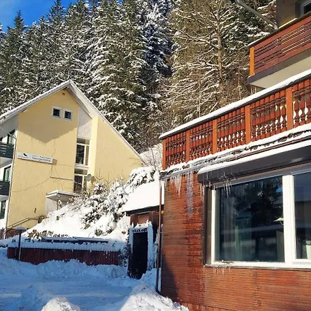 Familienapartments Lägenhetshotell Wildemann