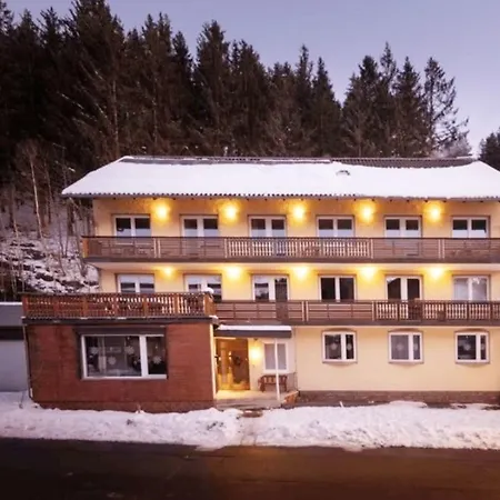 Familienapartments 3* Wildemann