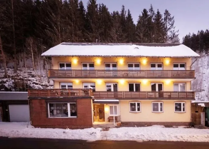 Familienapartments 3* Wildemann